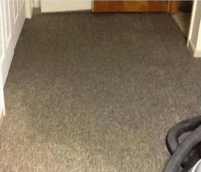 Carpet with water damage after storm