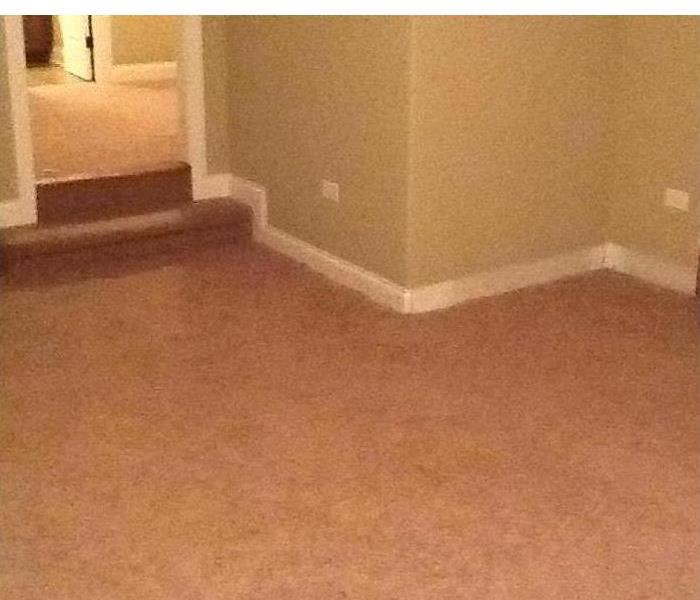 Bonus room carpet replaced