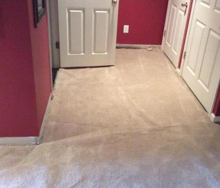 Bathroom with dried carpets after water damage