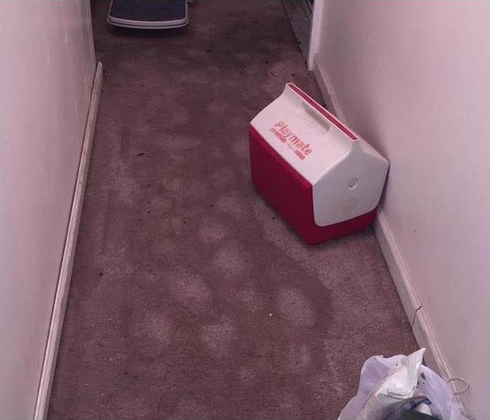 Carpet flooded after water heater busts