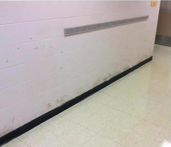 School with mold