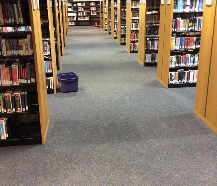 carpets after being cleaned at a library