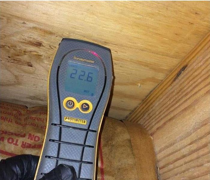 Protimeter testing the moisture in the wall 