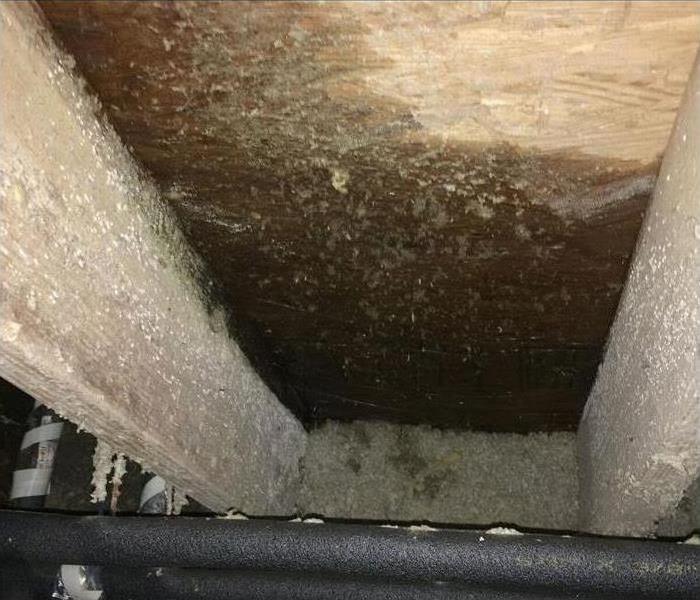 Water in Household Crawl Space 
