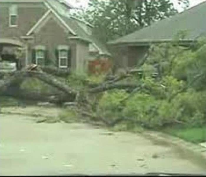 Tree fallen on a house damaging the roof